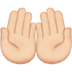 :palms_up_together:t2: :palms_up_together:t2: