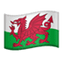 :wales: :wales: